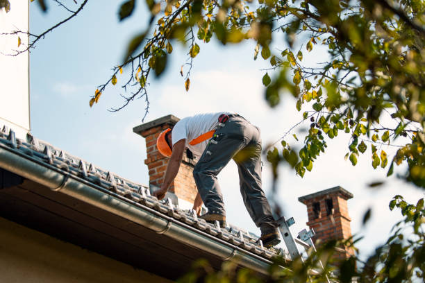 Best Roof Gutter Cleaning  in Hutchins, TX