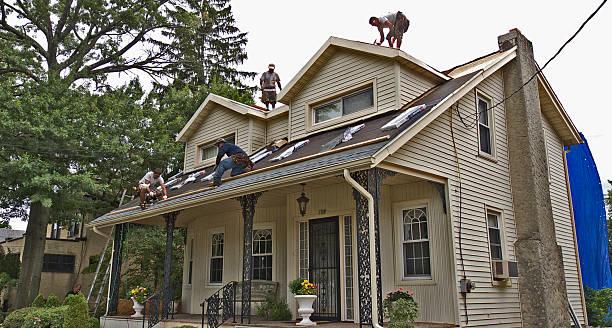Best Storm Damage Roof Repair  in Hutchins, TX