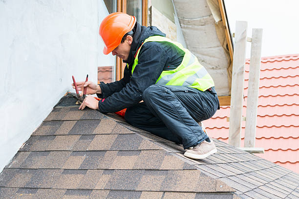 Best Roof Gutter Cleaning  in Hutchins, TX