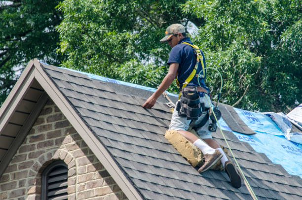 Best Gutter Installation and Roofing  in Hutchins, TX